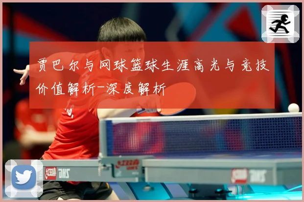 贾巴尔与网球篮球生涯高光与竞技价值解析-深度解析